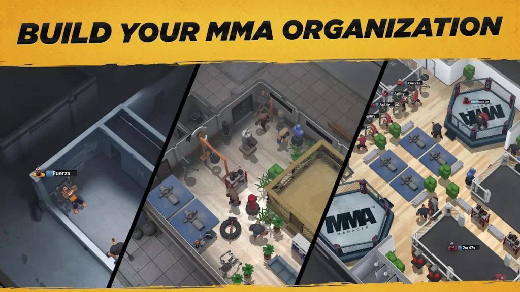 MMA Organization