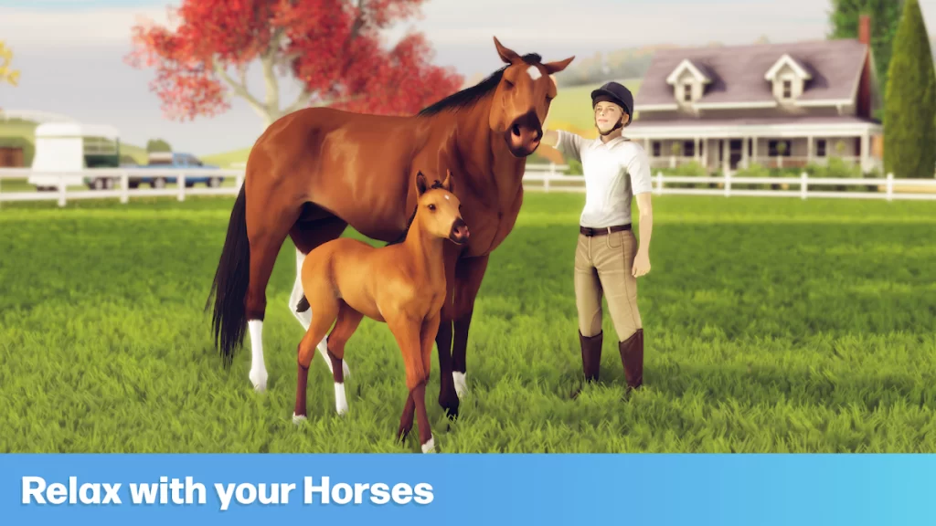 relax with your horses